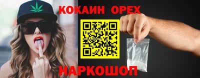сатива Краснодар