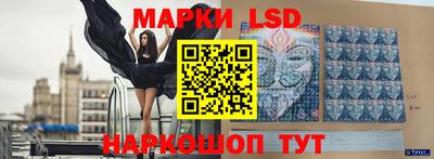 сатива Краснодар