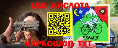 сатива Краснодар