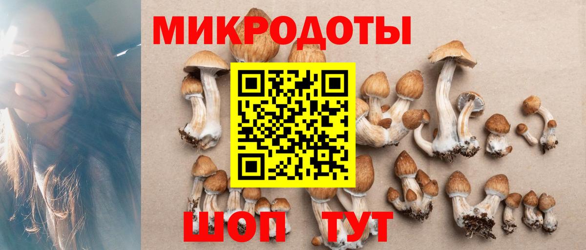 Галлюциногенные грибы мицелий Крымск