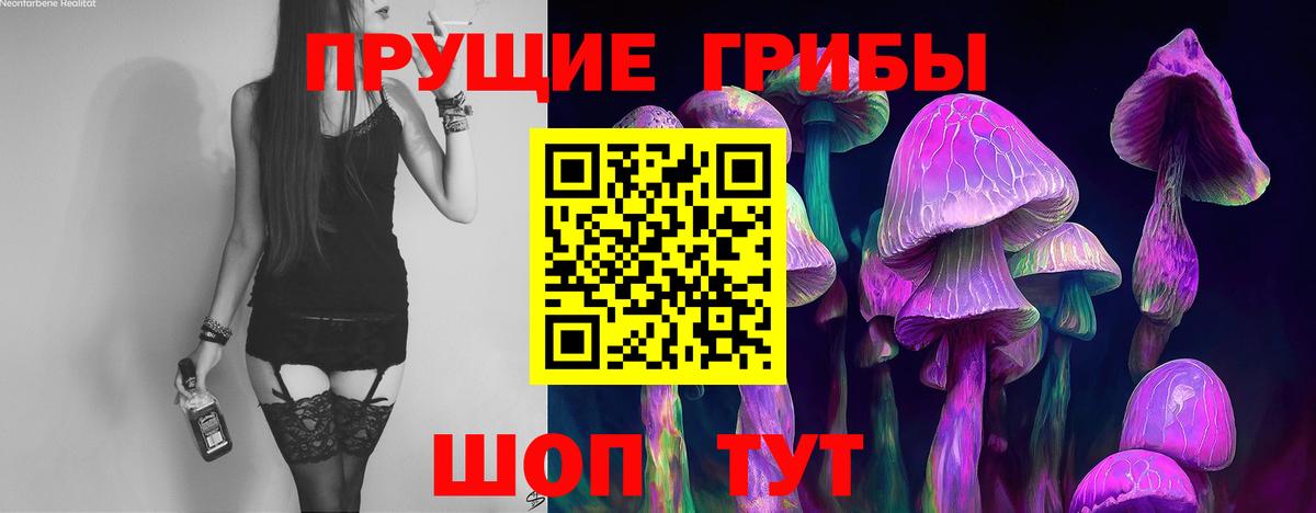 Псилоцибиновые грибы Cubensis  Галлюциногенные грибы прущие грибы  Вход с VPN  Крымск 